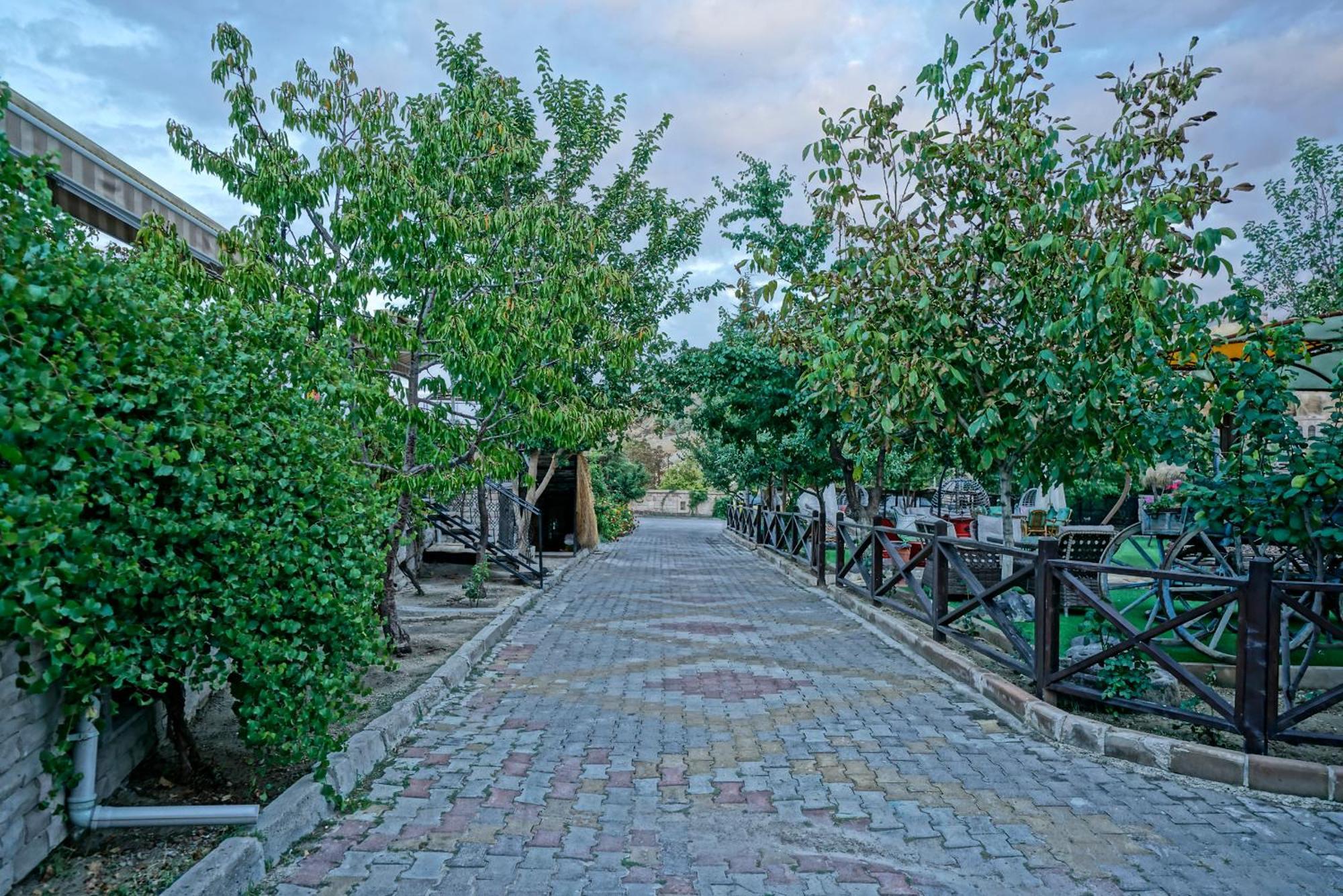 Отель Cave